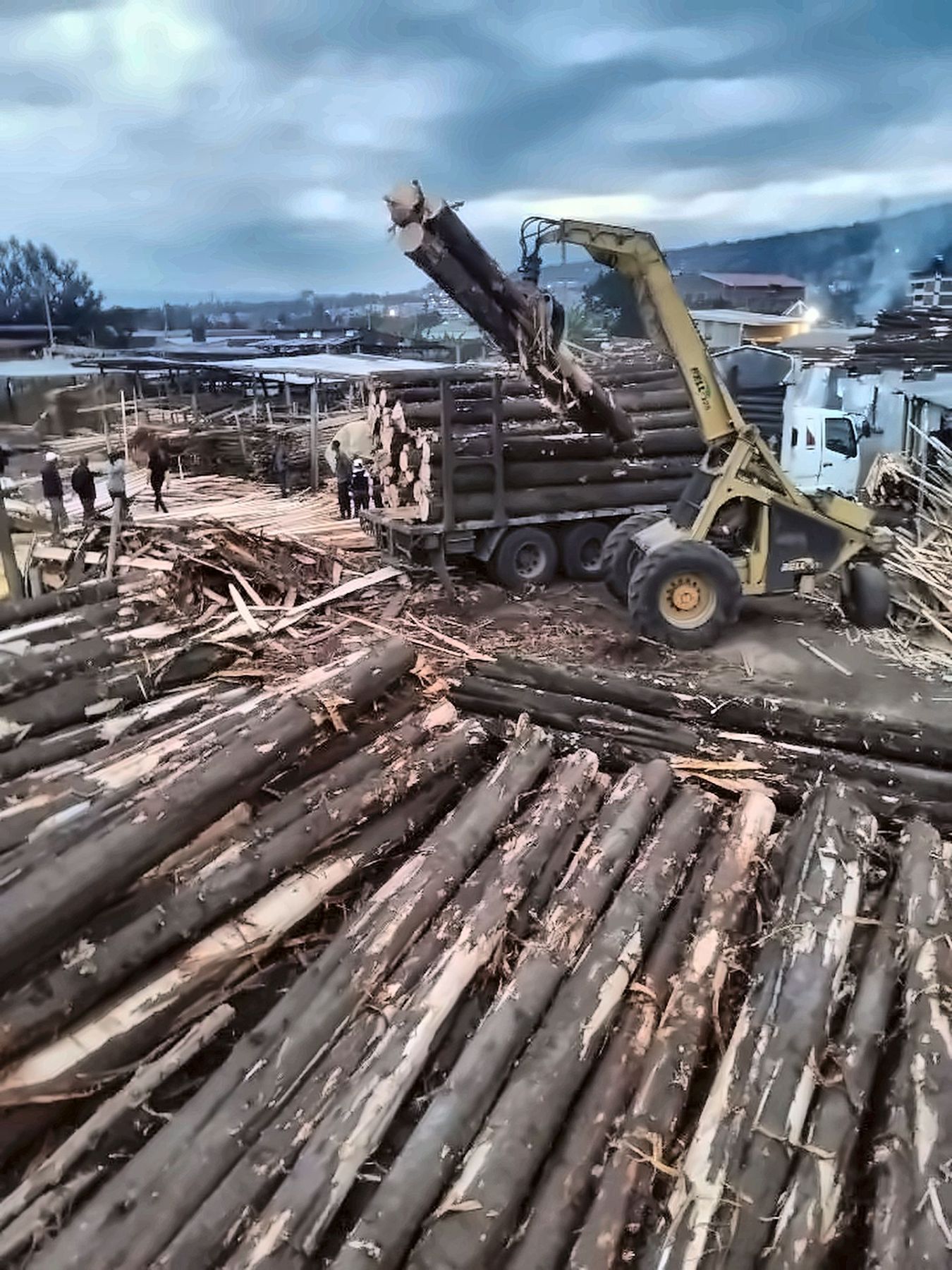 Logs being offloaded by a loader at the yard